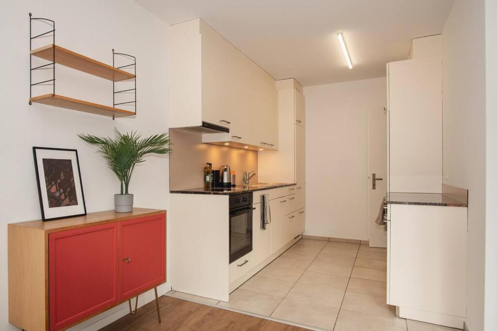 Spacious Apartment Next To Rhine Basel Exterior photo
